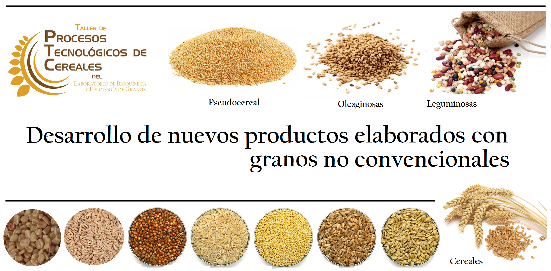 Desarrollo de Nuevos Productos